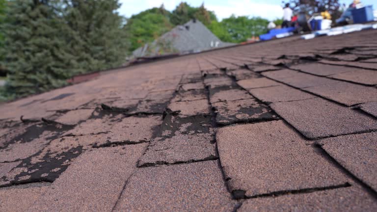 Best Flat Roofing  in Lebanon, OH