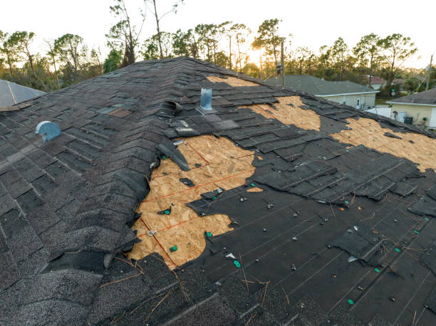 Best Gutter Installation and Repair  in Lebanon, OH